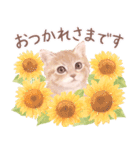 夏の花♡ねことうさぎのスタンプ（個別スタンプ：3）