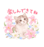 夏の花♡ねことうさぎのスタンプ（個別スタンプ：14）