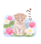 夏の花♡ねことうさぎのスタンプ（個別スタンプ：22）