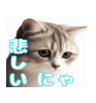 リアルねこの豊かな感情（個別スタンプ：3）