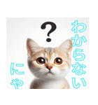 リアルねこの豊かな感情（個別スタンプ：4）