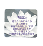 お悔やみの言葉 ⑥ 訃報.法事.法要シンプル（個別スタンプ：1）