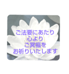 お悔やみの言葉 ⑥ 訃報.法事.法要シンプル（個別スタンプ：11）