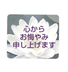 お悔やみの言葉 ⑥ 訃報.法事.法要シンプル（個別スタンプ：12）