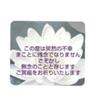 お悔やみの言葉 ⑥ 訃報.法事.法要シンプル（個別スタンプ：17）