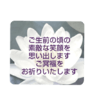 お悔やみの言葉 ⑥ 訃報.法事.法要シンプル（個別スタンプ：21）