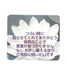 お悔やみの言葉 ⑥ 訃報.法事.法要シンプル（個別スタンプ：26）