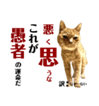 しもてぃーず17（個別スタンプ：6）