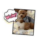 ピノさんwith 2（個別スタンプ：2）