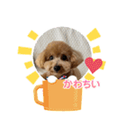 ピノさんwith 2（個別スタンプ：4）