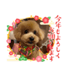 ピノさんwith 2（個別スタンプ：5）