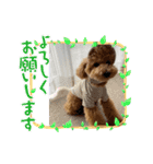 ピノさんwith 2（個別スタンプ：6）