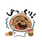ピノさんwith 2（個別スタンプ：8）