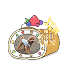 ピノさんwith 2（個別スタンプ：12）