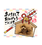 ピノさんwith 2（個別スタンプ：14）