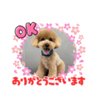 ピノさんwith 2（個別スタンプ：15）