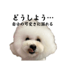 うゆみる面白集（個別スタンプ：2）