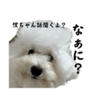 うゆみる面白集（個別スタンプ：8）