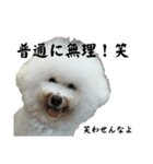 うゆみる面白集（個別スタンプ：11）