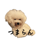 うゆみる面白集（個別スタンプ：14）