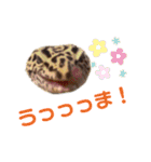 Sのスタンプはちゅバージョン2（個別スタンプ：2）