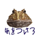 Sのスタンプはちゅバージョン2（個別スタンプ：5）