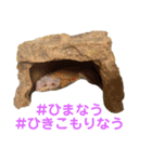 Sのスタンプはちゅバージョン2（個別スタンプ：9）
