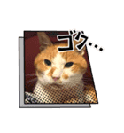 あいにゃんふぁいと（個別スタンプ：4）