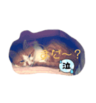 あいにゃんふぁいと（個別スタンプ：5）