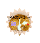 あいにゃんふぁいと（個別スタンプ：6）