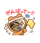 吾輩はネコで悪いな（個別スタンプ：2）