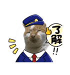吾輩はネコで悪いな（個別スタンプ：4）