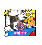 吾輩はネコで悪いな（個別スタンプ：5）