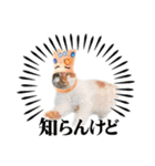 吾輩はネコで悪いな（個別スタンプ：7）