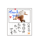 吾輩はネコで悪いな（個別スタンプ：8）