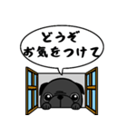 黒パグのくう〜3。職場で使える敬語集。（個別スタンプ：39）