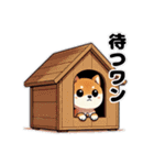 柴犬のワンだふる物語（個別スタンプ：18）