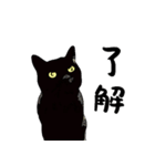 黒猫の了解OKスタンプ（個別スタンプ：7）