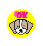 ニヤリビーグル（個別スタンプ：5）