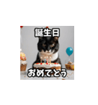 可愛い猫の日常使いスタンプ（個別スタンプ：30）