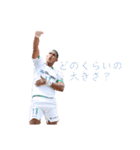 Tokyo Verdy BS 2024ver.（個別スタンプ：18）