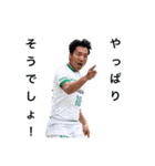 Tokyo Verdy BS 2024ver.（個別スタンプ：31）