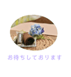 Sally K（個別スタンプ：10）