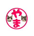ねこ兄弟は今日も行く2（個別スタンプ：31）