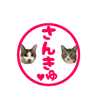 ねこ兄弟は今日も行く2（個別スタンプ：36）