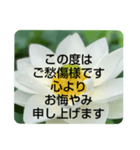 お悔やみの言葉②訃報.法事.法要シンプル蓮（個別スタンプ：2）