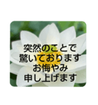 お悔やみの言葉②訃報.法事.法要シンプル蓮（個別スタンプ：3）