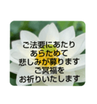 お悔やみの言葉②訃報.法事.法要シンプル蓮（個別スタンプ：4）