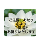 お悔やみの言葉②訃報.法事.法要シンプル蓮（個別スタンプ：5）