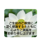 お悔やみの言葉②訃報.法事.法要シンプル蓮（個別スタンプ：6）